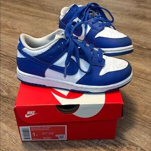 Kids Nike Dunk Low Royal Blue and White Sneakers